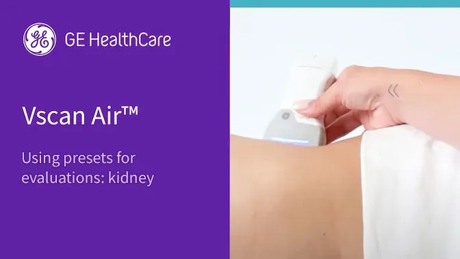 Using presets for evaluations kidney MZ2GT60e